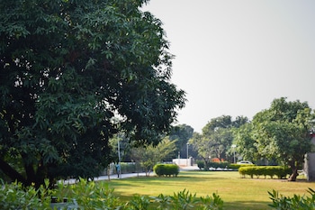 the greenwich resort