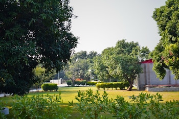 the greenwich resort