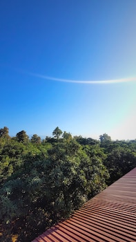 the greenwich resort