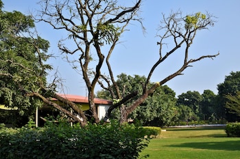 the greenwich resort