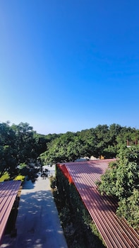 the greenwich resort