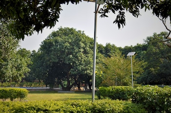 the greenwich resort