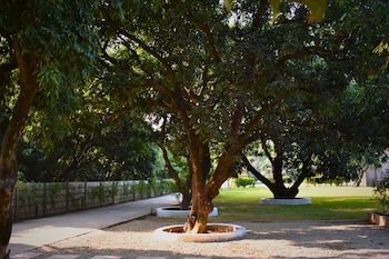 the greenwich resort