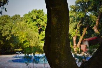 the greenwich resort