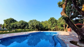 the greenwich resort