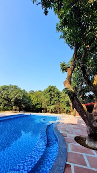 the greenwich resort