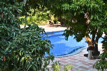 the greenwich resort