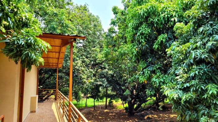 the greenwich resort