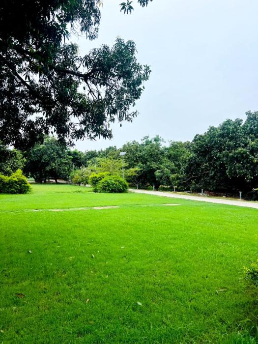 the greenwich resort