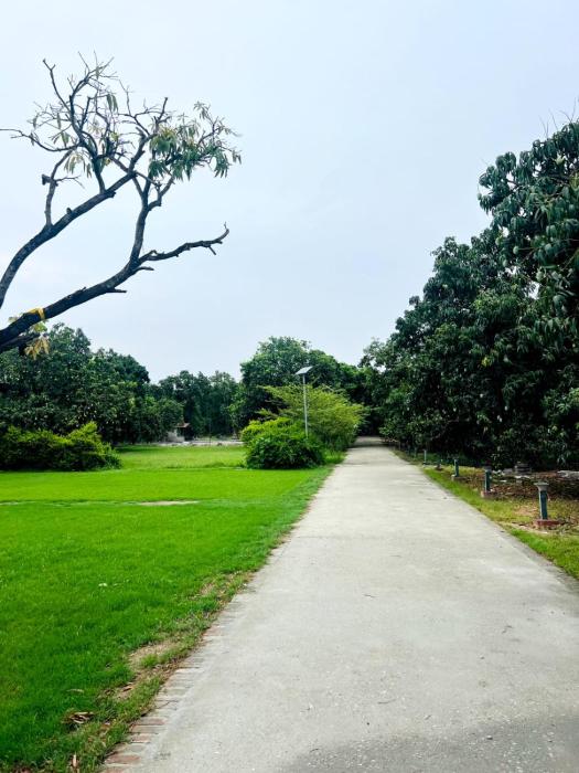 the greenwich resort