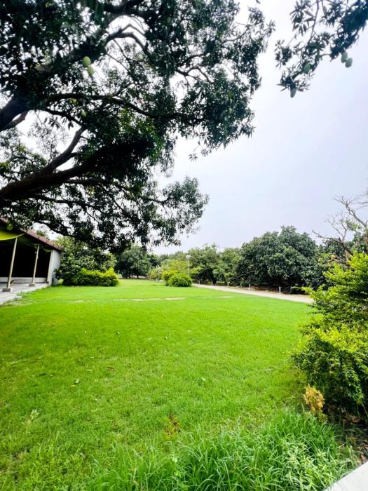 the greenwich resort