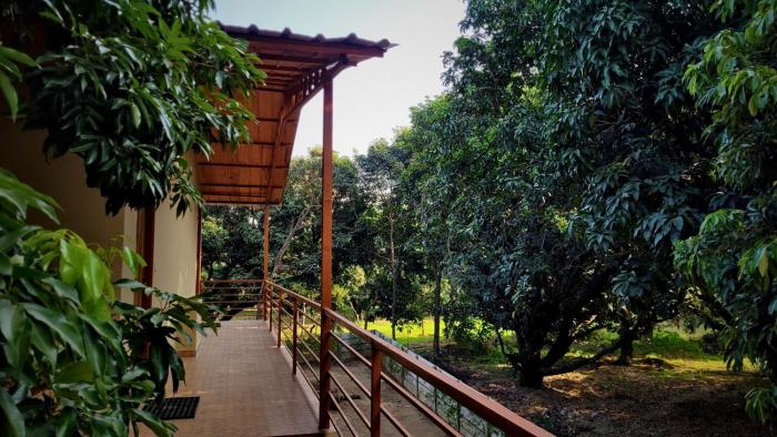 the greenwich resort