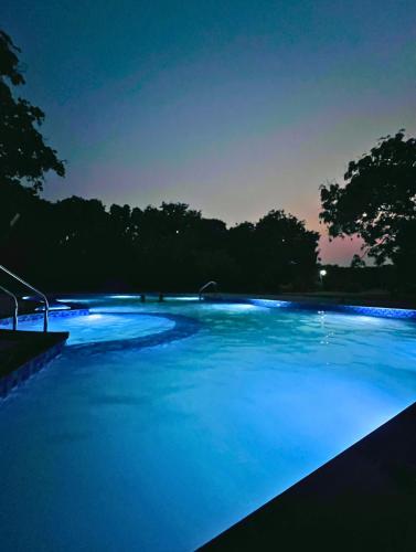 the greenwich resort