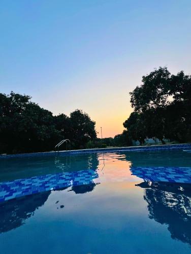 the greenwich resort