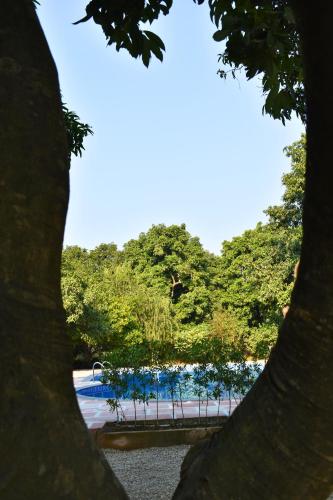 the greenwich resort