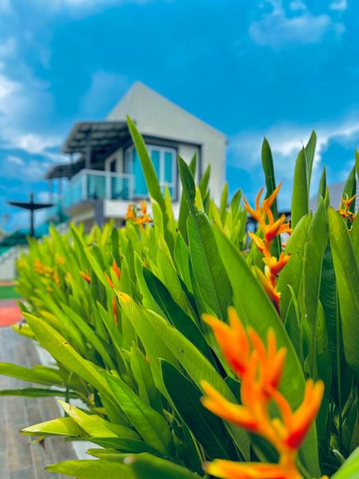 tijami villa and resort