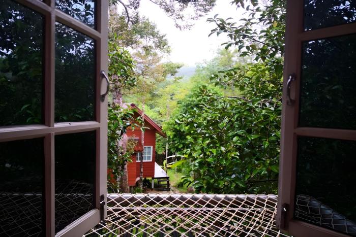 rat min house