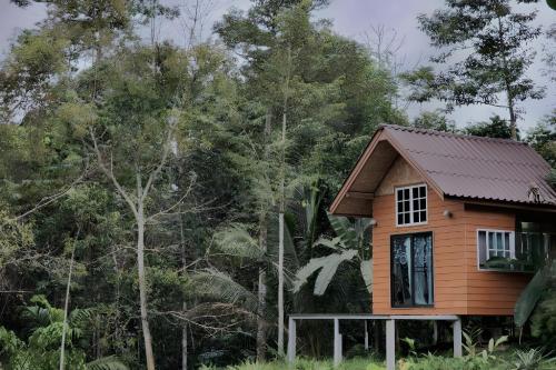 rat min house