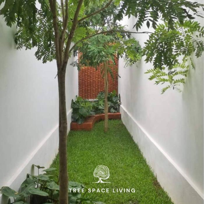 tree space living