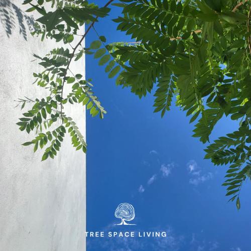 tree space living