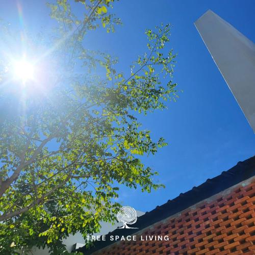 tree space living