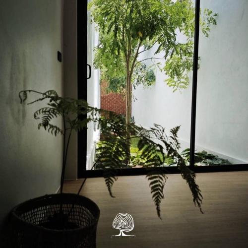 tree space living