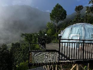 castle glamp by auroras resorts