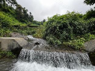 castle glamp by auroras resorts