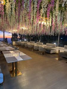 Castle Glamp By Auroras Resorts,,4 star