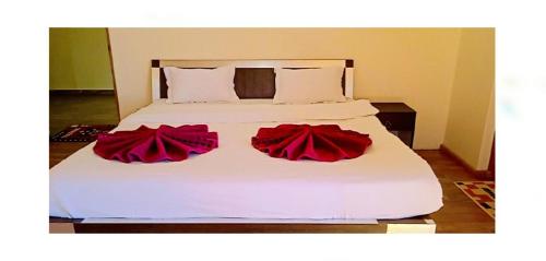 orion home