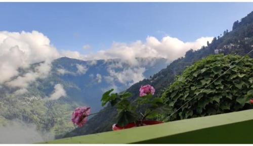 darjeeling
