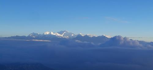 darjeeling