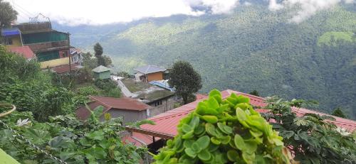 darjeeling