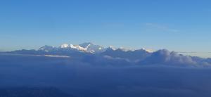 darjeeling