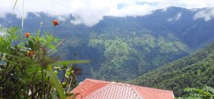 darjeeling