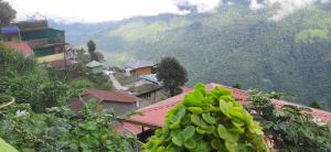 darjeeling