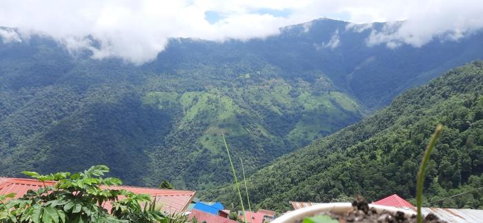 darjeeling