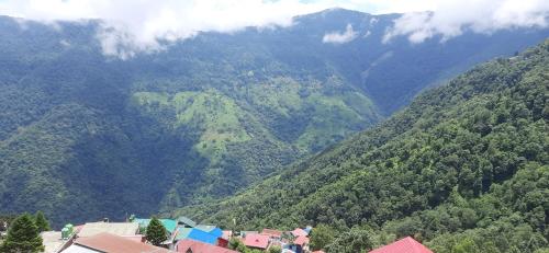 darjeeling