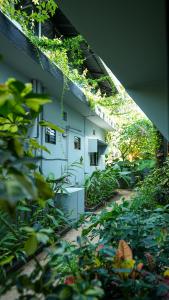 sortby stays grand peddem