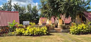 green orchid resort and farm