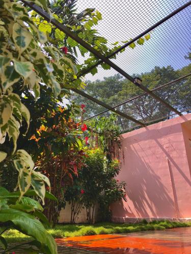 galaxy garden resort