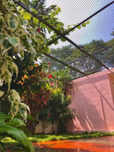 galaxy garden resort