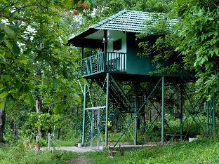 vanatheeram resorts kattikulam tholppety wayanad