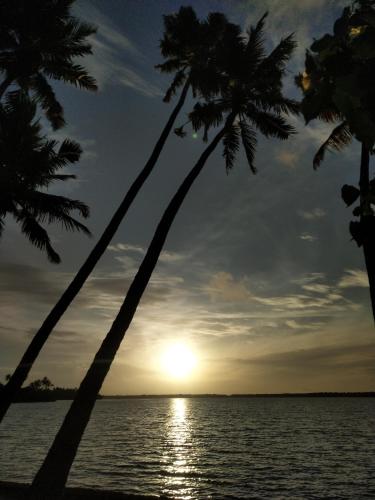 santa maria hostel munroe island