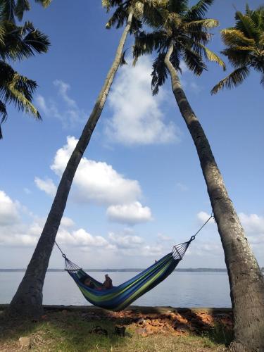 santa maria hostel munroe island