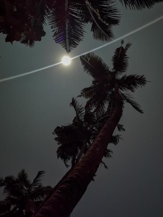 santa maria hostel munroe island