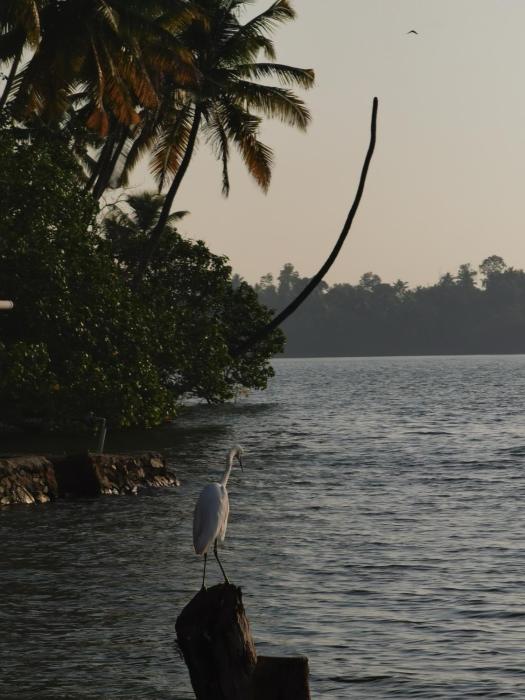 santa maria hostel munroe island