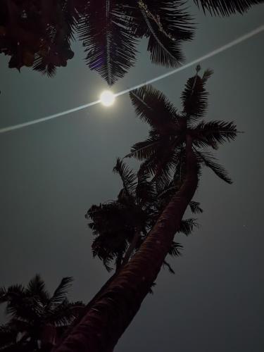 santa maria hostel munroe island