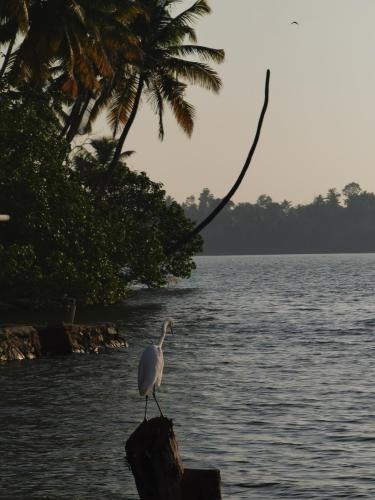 santa maria hostel munroe island