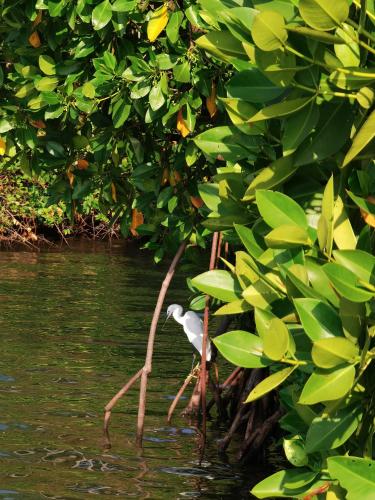 santa maria hostel munroe island